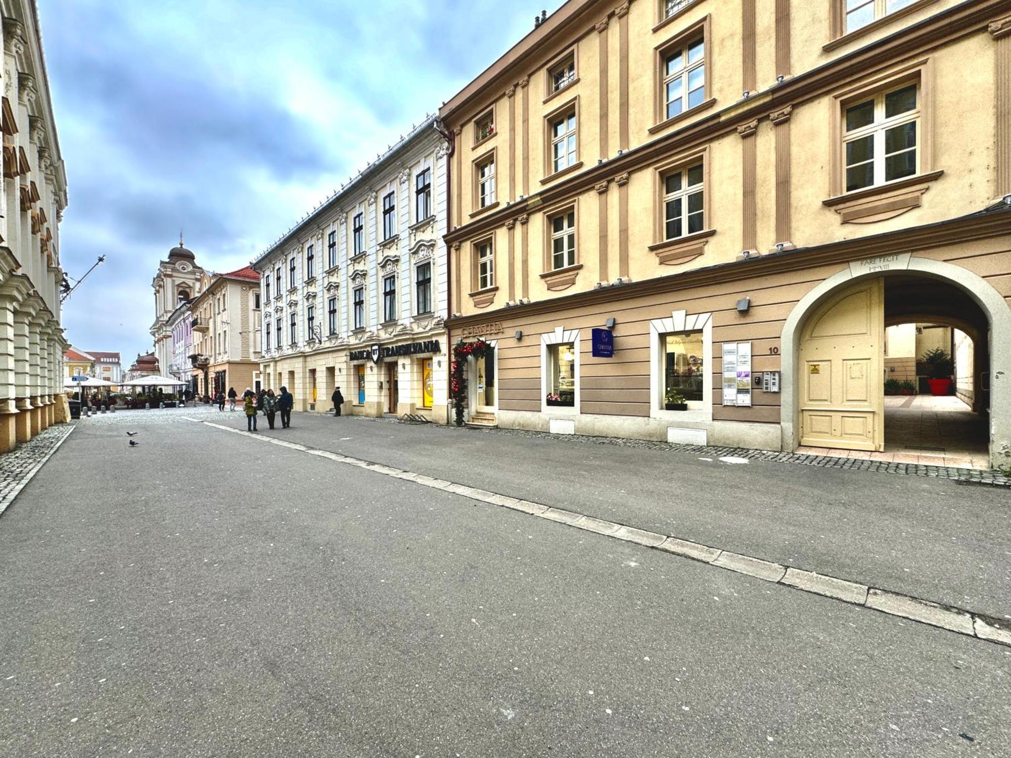 Blue Nest Apartment Timisoara Exterior photo